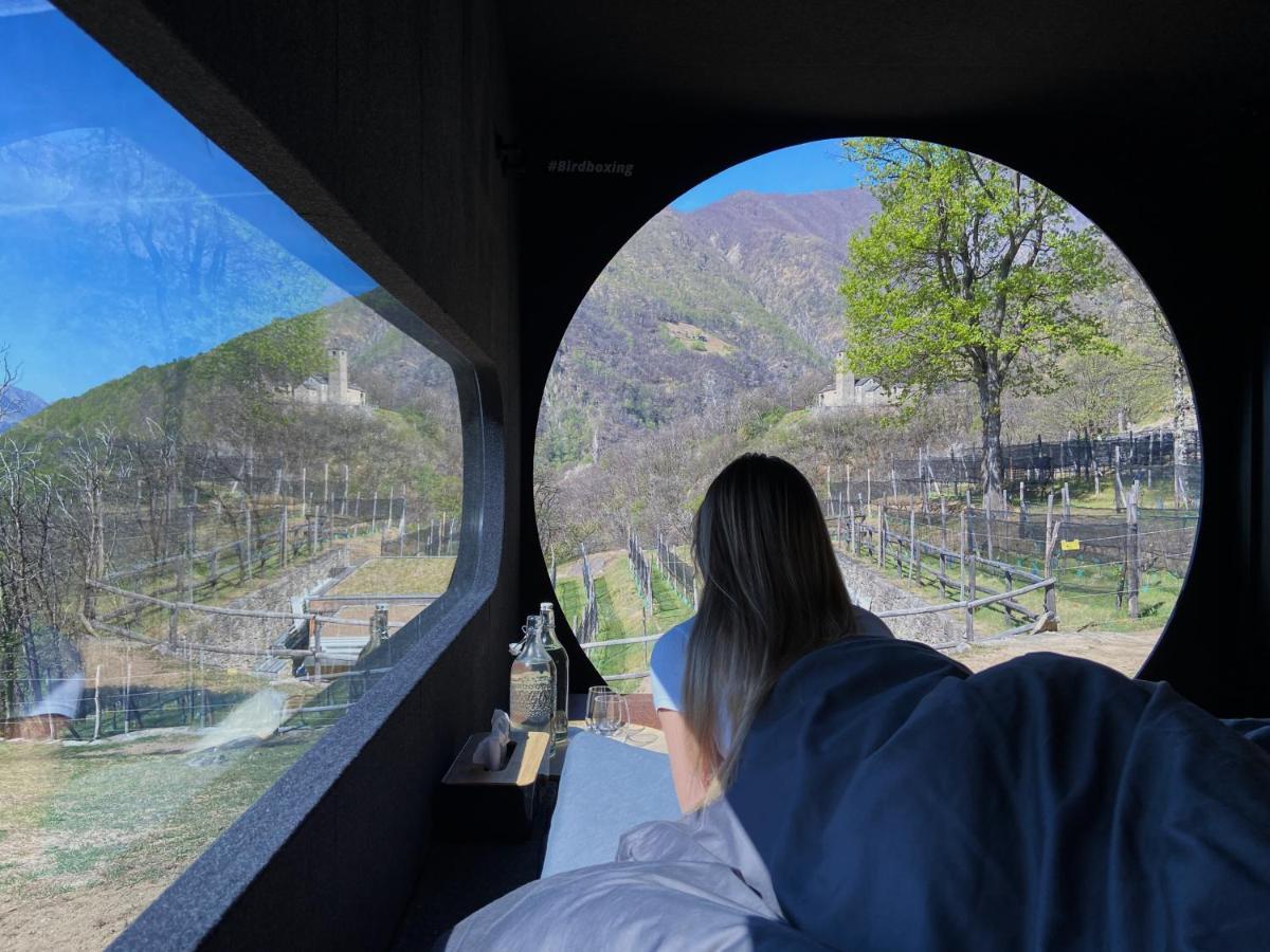 Birdbox Curzutt Hotel Monte Carasso Ngoại thất bức ảnh